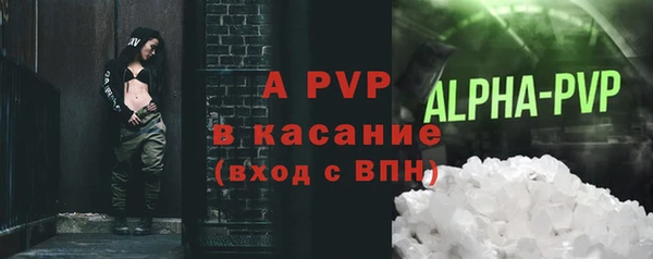 ECSTASY Липки