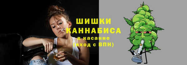 ECSTASY Липки