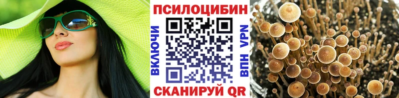 Псилоцибиновые грибы ЛСД  это состав  Черняховск  MEGA tor 