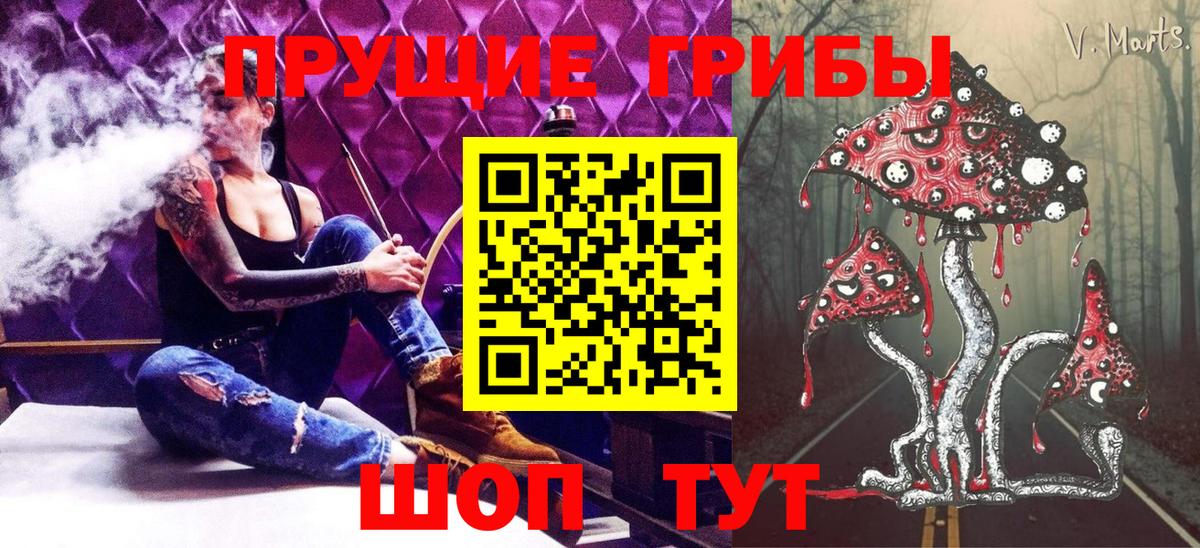 Галлюциногенные грибы прущие грибы  Черняховск 